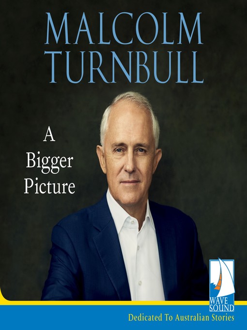 Cover image for A Bigger Picture
